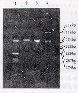 12-01.jpg (10659 bytes)