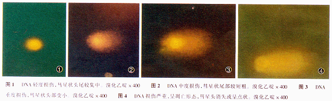 16.gif (93560 bytes)