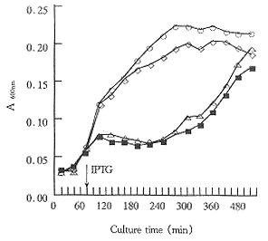 196-1.gif (5470 �ֽ�)