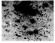 04.gif (39807 bytes)