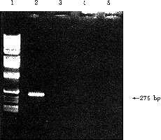 160a.gif (9424 bytes)