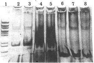 t0902.gif (12929 bytes)