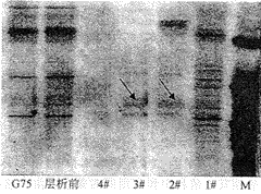 179-10.gif (10791 bytes)