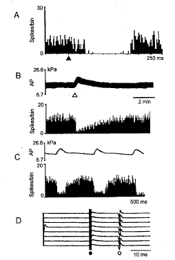 ͷ�����踹�����|ǰ������Ԫ|ϸ�����¼|΢��Ӿ|��������/��������Դ���ͷ�����踹�����ǰ������Ԫ�ŵ������//