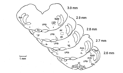 ͷ�����踹�����|ǰ������Ԫ|ϸ�����¼|΢��Ӿ|��������/��������Դ���ͷ�����踹�����ǰ������Ԫ�ŵ������//