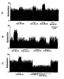ͷ�����踹�����|ǰ������Ԫ|ϸ�����¼|΢��Ӿ|��������/��������Դ���ͷ�����踹�����ǰ������Ԫ�ŵ������//
