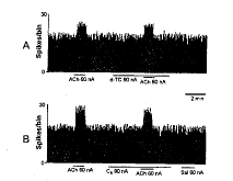 ͷ�����踹�����|ǰ������Ԫ|ϸ�����¼|΢��Ӿ|��������/��������Դ���ͷ�����踹�����ǰ������Ԫ�ŵ������//