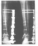 t101902.gif (6072 字节)