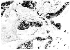 t134-2.gif (14430 字节)