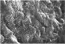 t51301.gif (9078 bytes)