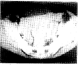 t6001.gif (3901 bytes)