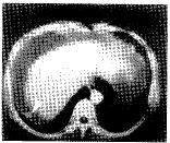 t6002.gif (5024 bytes)