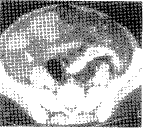 t6005.gif (5150 bytes)