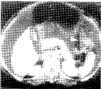 t6006.gif (5073 bytes)