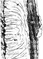 �س���|��|�ص�|����/����ص��й��������ȶ//