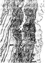 �س���|��|�ص�|����/����ص��й��������ȶ//