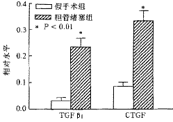 t10302.gif (4307 �ֽ�)