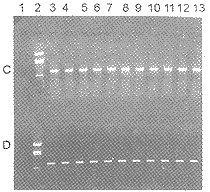 t2302b.gif (8669 bytes)