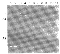 t2303a.gif (8671 bytes)