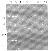 t2303b.gif (9458 bytes)