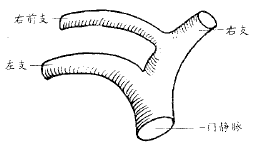 t15201.gif (2663 bytes)