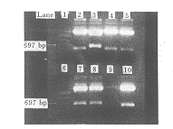 t67902.gif (5405 �ֽ�)