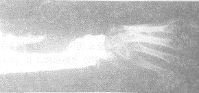 t20403.gif (8726 �ֽ�)