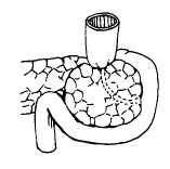 t41801.gif (2622 �ֽ�)