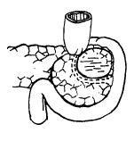 t41803.gif (2661 �ֽ�)