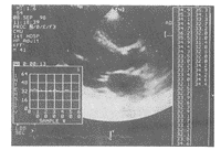 t36003.gif (7875 bytes)