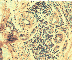 t106-1.gif (28363 bytes)