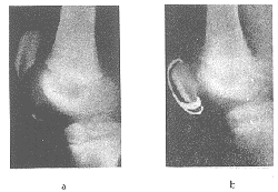 t97601.gif (10943 �ֽ�)