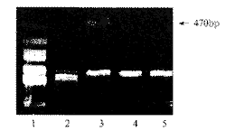 t16001.gif (2477 bytes)