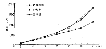 t16002.gif (2336 bytes)