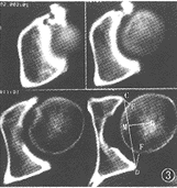 t53-3.gif (8721 bytes)