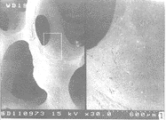 t51301.gif (8473 �ֽ�)