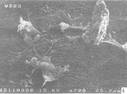 t51304.gif (8583 �ֽ�)