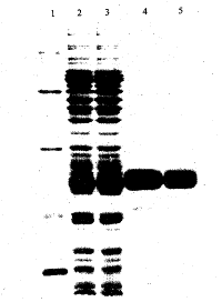 t2802.gif (2965 字节)