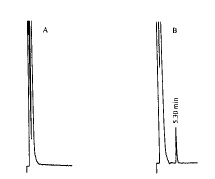 t25101.gif (1545 bytes)