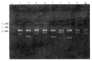 t140-1.gif (16943 字节)