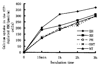 t137-1.gif (4579 bytes)