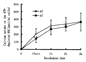 t137-2.gif (3840 bytes)