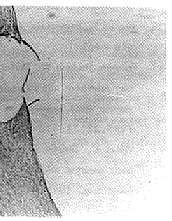 t137-6.gif (9717 bytes)