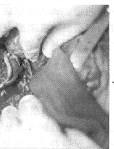 t137-4.gif (7838 bytes)