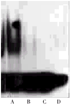 t54601.gif (7117 bytes)