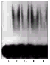 t54602.gif (10175 bytes)