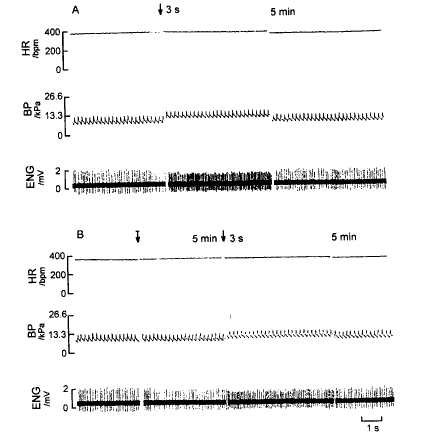 ������|RVLM��Ԫ�Է��ŵ�|����������|�ɺ�/�����ضԴ������踹���ͷ������Ԫ����Ӱ��//