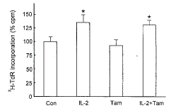 ��ϸ������-2|������|ϸ����ֳ|tyrphostin|H-9|tamoxifen/�׽���-2�ٽ�RC-4B/C������ϸ��ϵ��ֳ//