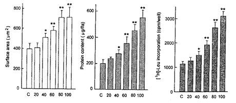 ����άϸ��|�ļ�ϸ��|�ʴ�|ϸ������|����/�����������ҳ���άϸ����������Һ�Ĵ��ļ�ϸ���ʴ�����//