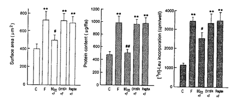 ����άϸ��|�ļ�ϸ��|�ʴ�|ϸ������|����/�����������ҳ���άϸ����������Һ�Ĵ��ļ�ϸ���ʴ�����//